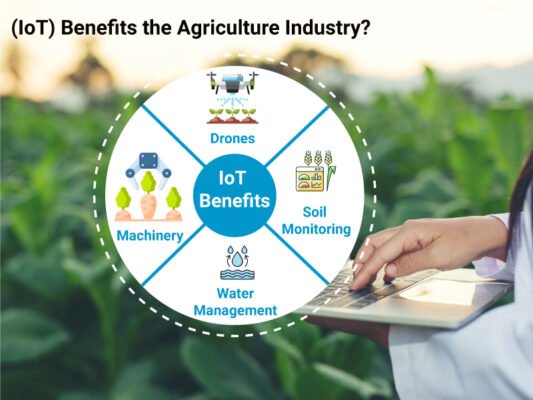 How Internet of Things (IoT) Benefits the Agriculture Industry?